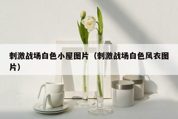 刺激战场白色小屋图片（刺激战场白色风衣图片）