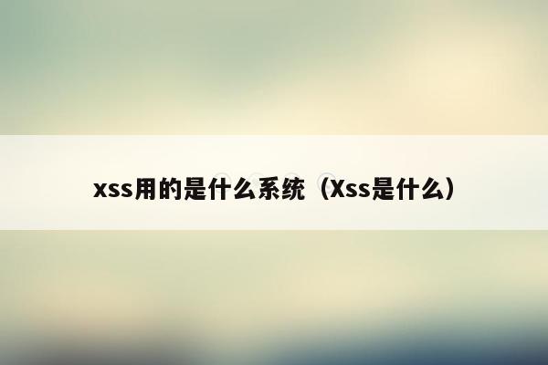 xss用的是什么系统（Xss是什么）