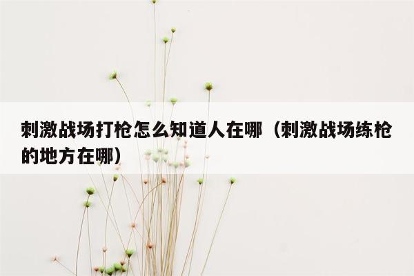 刺激战场打枪怎么知道人在哪（刺激战场练枪的地方在哪）