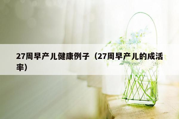 27周早产儿健康例子（27周早产儿的成活率）