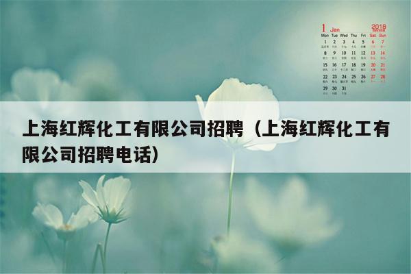 上海红辉化工有限公司招聘（上海红辉化工有限公司招聘电话）