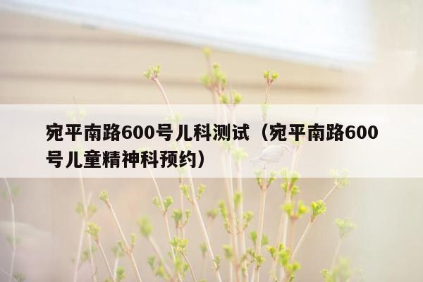 宛平南路600号儿科测试（宛平南路600号儿童精神科预约）