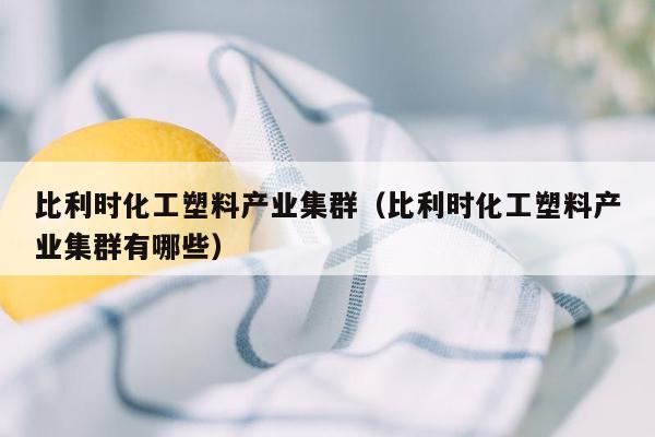 比利时化工塑料产业集群（比利时化工塑料产业集群有哪些）