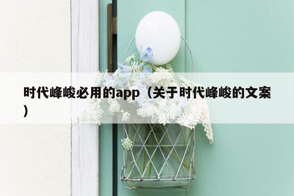 时代峰峻必用的app（关于时代峰峻的文案）