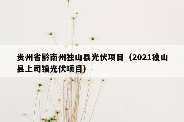 贵州省黔南州独山县光伏项目（2021独山县上司镇光伏项目）