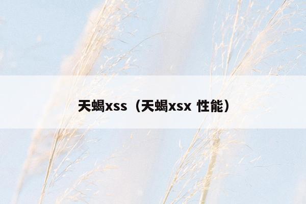 天蝎xss（天蝎xsx 性能）