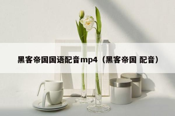 黑客帝国国语配音mp4（黑客帝国 配音）