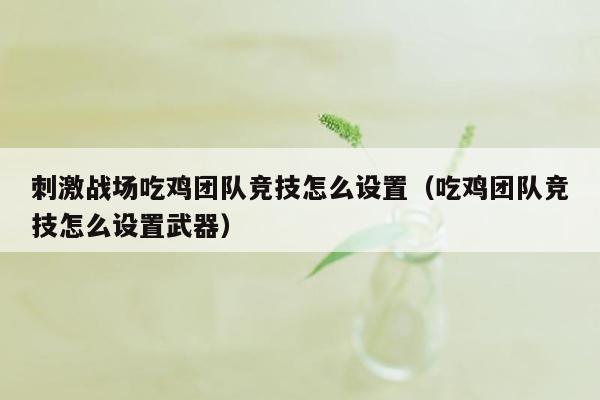 刺激战场吃鸡团队竞技怎么设置（吃鸡团队竞技怎么设置武器）