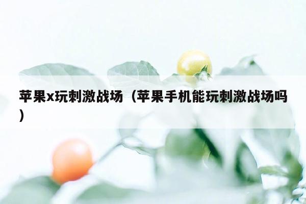 苹果x玩刺激战场（苹果手机能玩刺激战场吗）