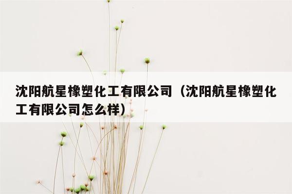 沈阳航星橡塑化工有限公司（沈阳航星橡塑化工有限公司怎么样）