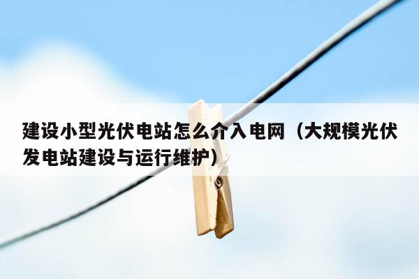 建设小型光伏电站怎么介入电网（大规模光伏发电站建设与运行维护）