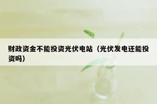 财政资金不能投资光伏电站（光伏发电还能投资吗）