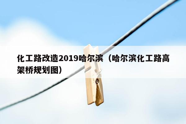 化工路改造2019哈尔滨（哈尔滨化工路高架桥规划图）