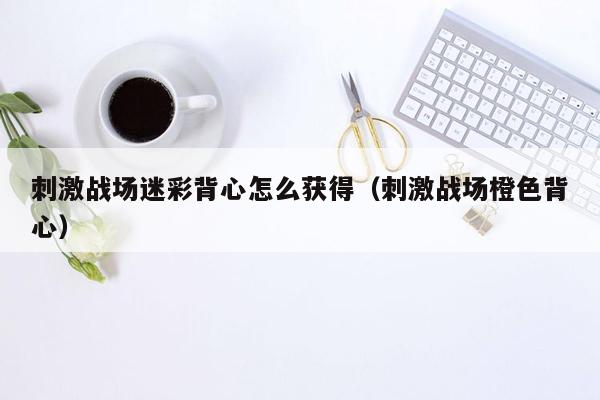 刺激战场迷彩背心怎么获得（刺激战场橙色背心）