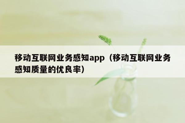 移动互联网业务感知app（移动互联网业务感知质量的优良率）