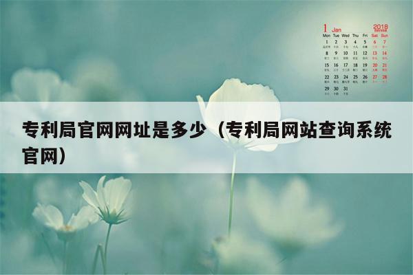 专利局官网网址是多少（专利局网站查询系统官网）