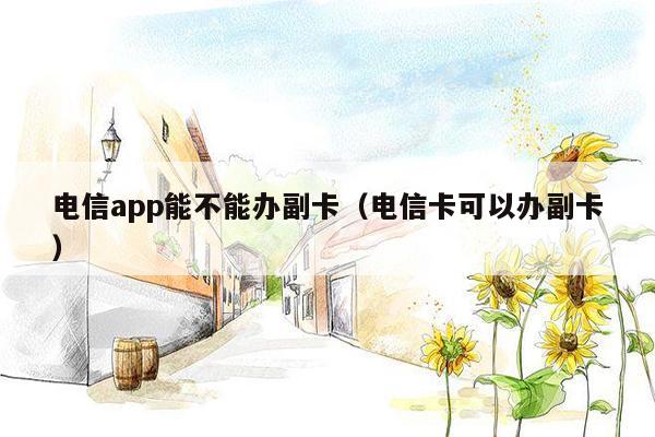 电信app能不能办副卡（电信卡可以办副卡）