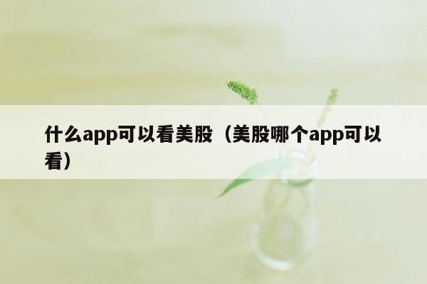 什么app可以看美股（美股哪个app可以看）