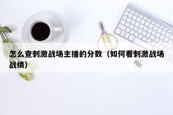 怎么查刺激战场主播的分数（如何看刺激战场战绩）