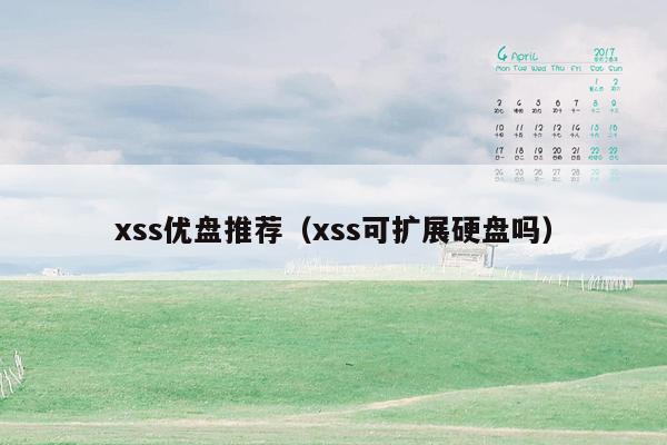 xss优盘推荐（xss可扩展硬盘吗）