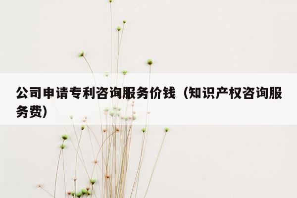 公司申请专利咨询服务价钱（知识产权咨询服务费）