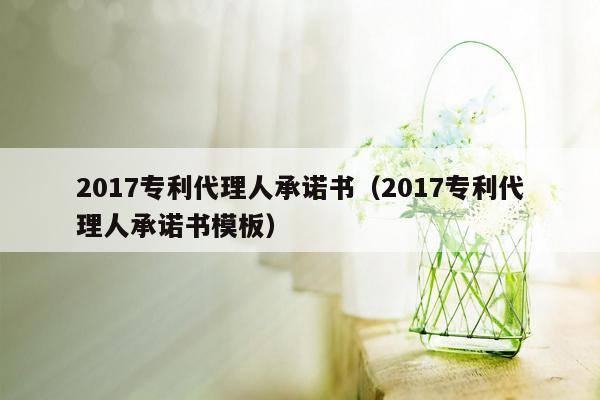 2017专利代理人承诺书（2017专利代理人承诺书模板）