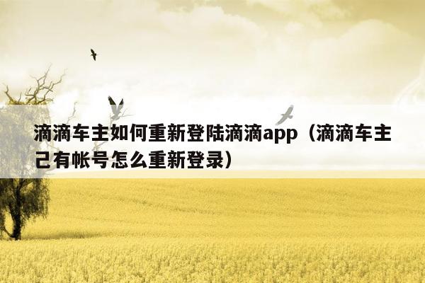 滴滴车主如何重新登陆滴滴app（滴滴车主己有帐号怎么重新登录）