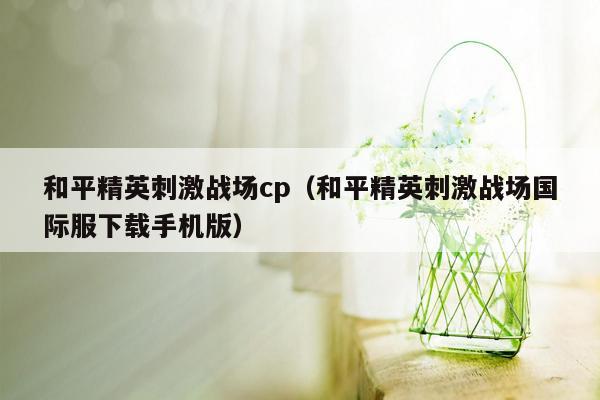 和平精英刺激战场cp（和平精英刺激战场国际服下载手机版）