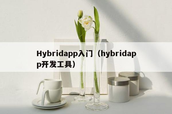 Hybridapp入门（hybridapp开发工具）