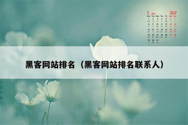 黑客网站排名（黑客网站排名联系人）