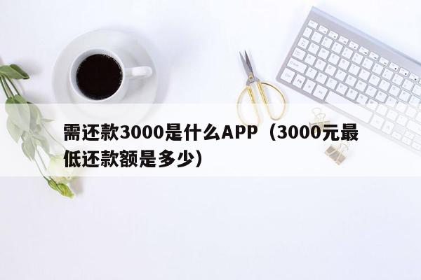 需还款3000是什么APP（3000元最低还款额是多少）