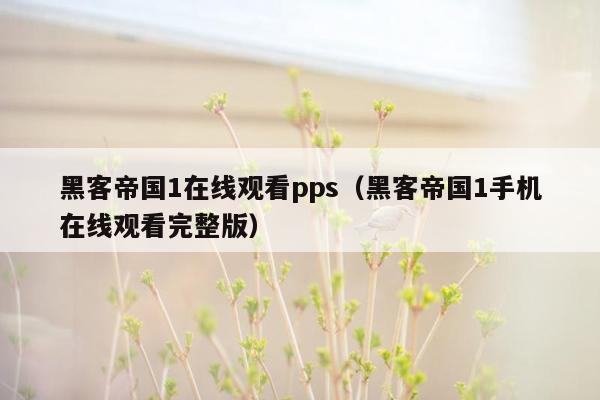 黑客帝国1在线观看pps（黑客帝国1手机在线观看完整版）