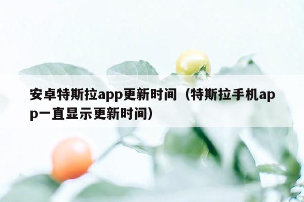 安卓特斯拉app更新时间（特斯拉手机app一直显示更新时间）