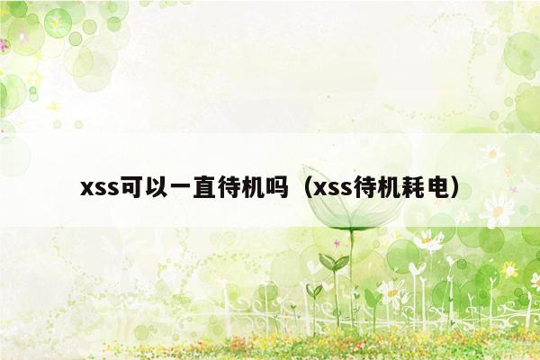 xss可以一直待机吗（xss待机耗电）