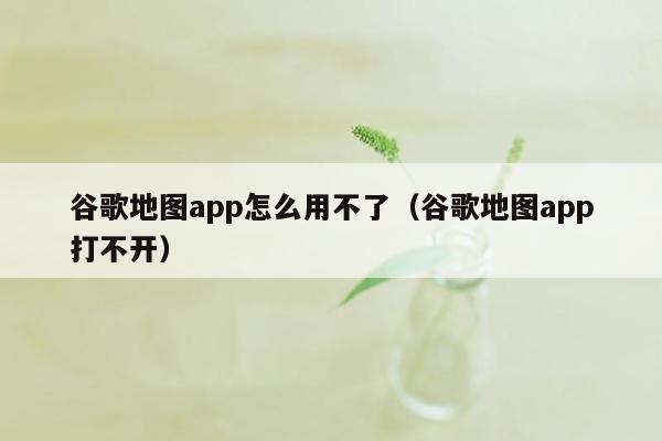 谷歌地图app怎么用不了（谷歌地图app打不开）