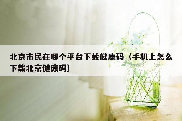 北京市民在哪个平台下载健康码（手机上怎么下载北京健康码）