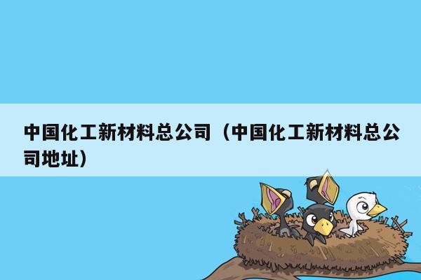 中国化工新材料总公司（中国化工新材料总公司地址）