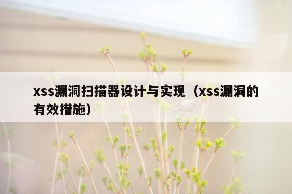 xss漏洞扫描器设计与实现（xss漏洞的有效措施）