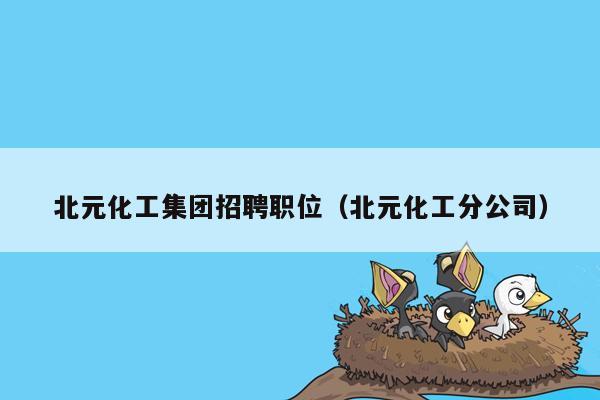 北元化工集团招聘职位（北元化工分公司）