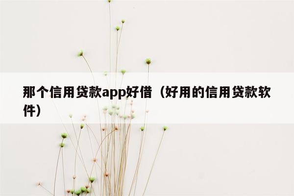 那个信用贷款app好借（好用的信用贷款软件）