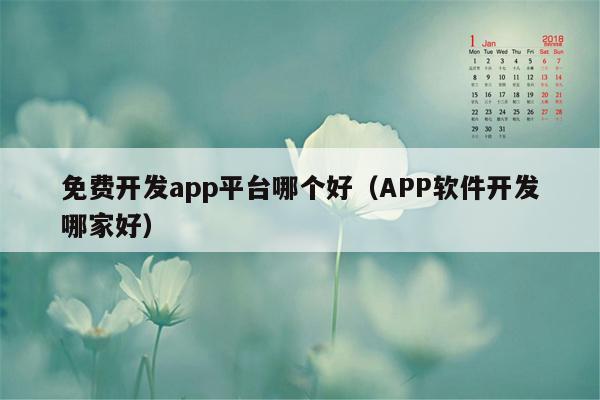 免费开发app平台哪个好（APP软件开发哪家好）