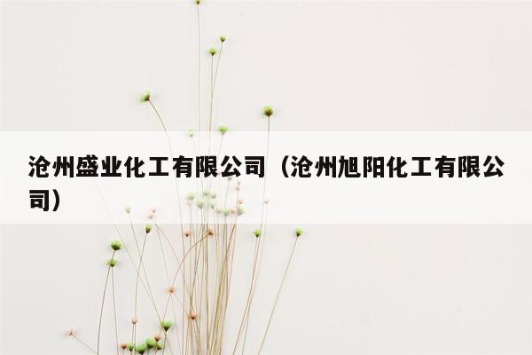 沧州盛业化工有限公司（沧州旭阳化工有限公司）