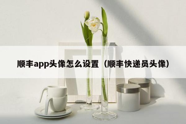 顺丰app头像怎么设置（顺丰快递员头像）