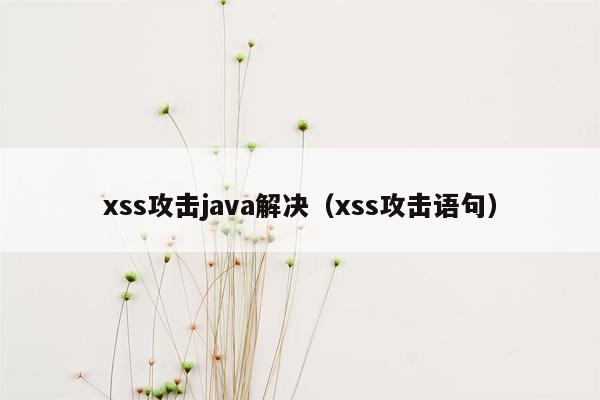 xss攻击java解决（xss攻击语句）