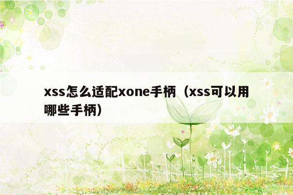 xss怎么适配xone手柄（xss可以用哪些手柄）