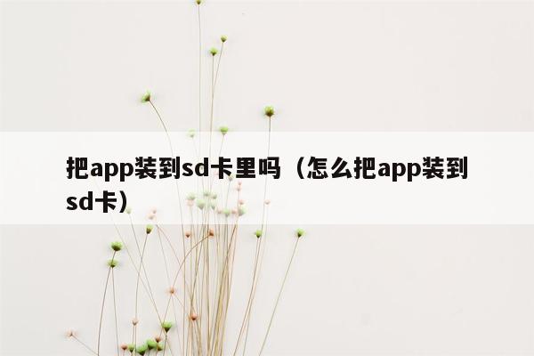 把app装到sd卡里吗（怎么把app装到sd卡）