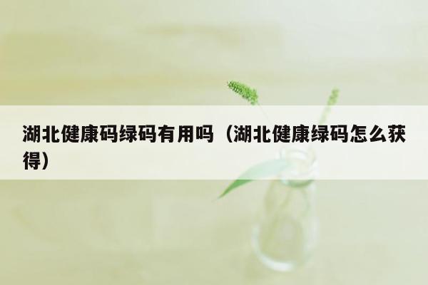 湖北健康码绿码有用吗（湖北健康绿码怎么获得）