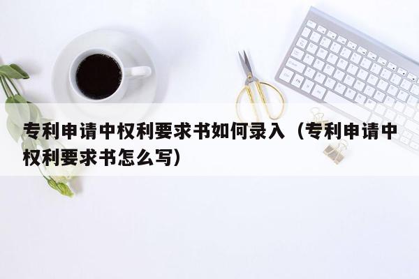 专利申请中权利要求书如何录入（专利申请中权利要求书怎么写）