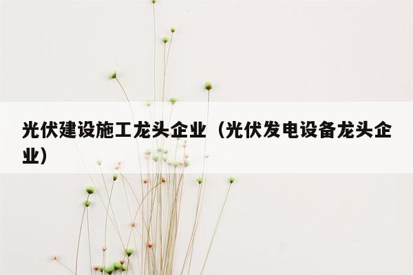 光伏建设施工龙头企业（光伏发电设备龙头企业）