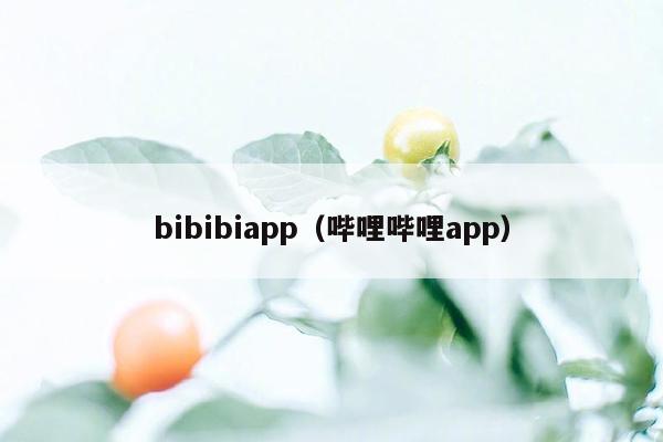 bibibiapp（哔哩哔哩app）